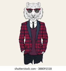 Illustration of tiger hipster dressed up in jacket, pants and sweater. Vector illustration