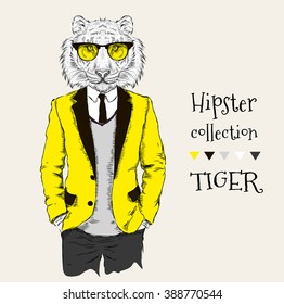 Illustration of tiger hipster dressed up in jacket, pants and sweater. Vector illustration