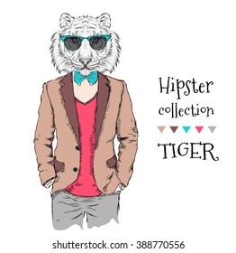 Illustration of tiger hipster dressed up in jacket, pants and sweater. Vector illustration