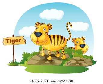 Illustration of tiger in the jungle
