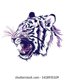 Illustration of tiger on vector with white background