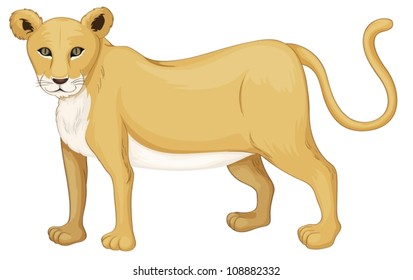 ilustración de un tigre sobre un fondo blanco