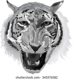 ilustración con retrato de tigre aislado en fondo blanco