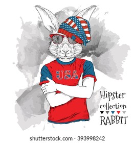 Illustration of tiger rabbit  dressed up in the glasses and in the t-shirt with print of USA flag. Vector illustration.