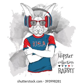 Illustration of tiger rabbit  dressed up in the glasses and in the t-shirt with print of USA flag. Vector illustration.
