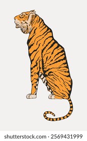 Illustration of a tiger sitting. The tiger's orange and black stripes are prominent. The tiger's posture is upright. The tiger's tail is curled. Vintage illustration isolated on white, vector.