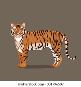 illustration. tiger stand