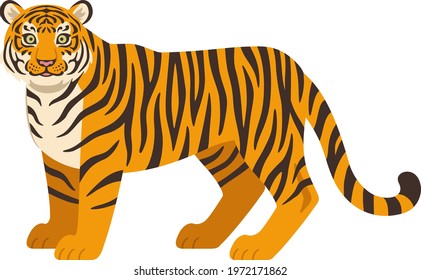 Illustration of a tiger standing sideways with its face facing the front