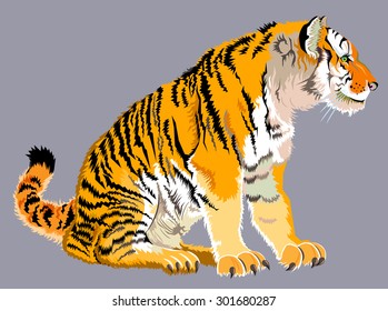 Illustration of tiger, vector cartoon image.