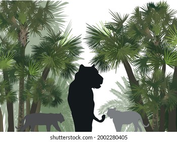 Illustration mit Tigern zwischen Palmen einzeln auf weißem Hintergrund