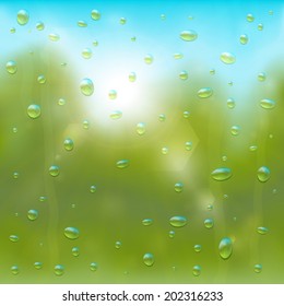 An illustration of time after summer rain. 