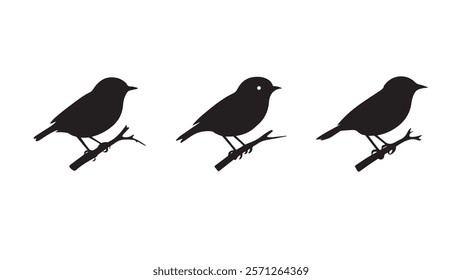 illustration of a tiny bird in silhouette Vector