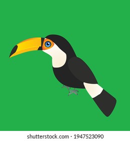 
An illustration of a toco toucan. The single bird is placed on a green background.