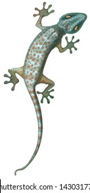 Illustration of the tokay gecko