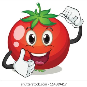 illustration of tomato on a white background