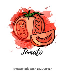 illustration of tomato. Vector watercolor splash background. Graphics for cocktails, fresh juice design. Natural organic vegetable label