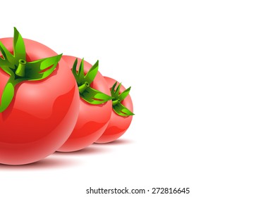 illustration of tomatoes in line on white background