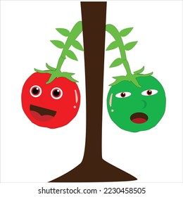 illustration tomatoes on the tree  which is isolated on a white background
