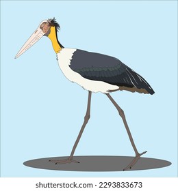 
Illustration of the Tongtong crane, Leptoptilos javanicus, is a species of bird in the stork family or Ciconiidae. Scattered in southern Asia from eastern India to Java Island