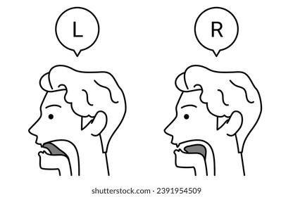 Illustration of tongue movement for English conversation, l and r pronunciations, Vector Illustration