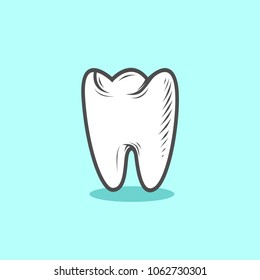 Illustration of the tooth