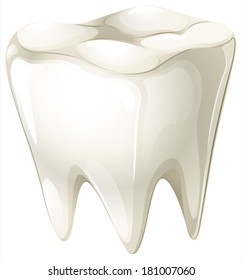 Illustration of a tooth on a white background