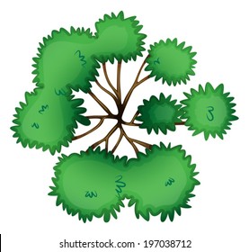 Illustration of a topview of a tree on a white background