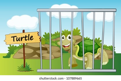 illustration of a tortoise in cage and wooden board