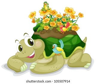 illustration of tortoise on a white background