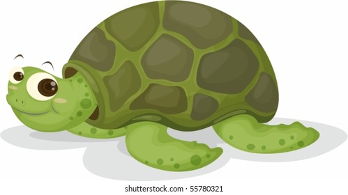 Illustration of A Tortoise on white background