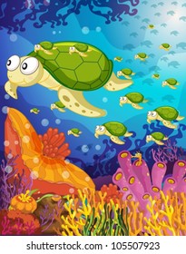 illustration of a tortoise swimming in water