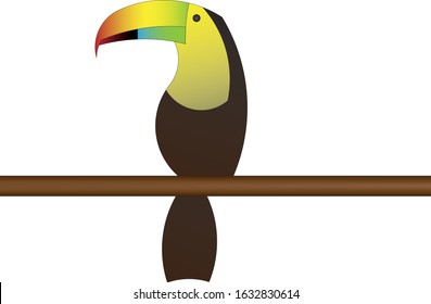 Illustration of a toucan bird