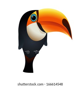 Illustration of toucan bird