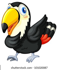 Illustration of a toucan on white background