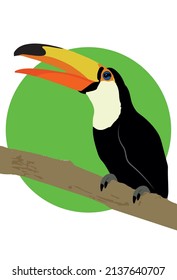 Illustration of a toucan, traditional bird of Brazilian fauna, exotic tropical animal.