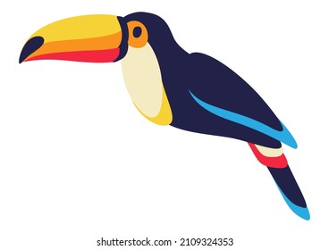 Illustration of toucan. Tropical exotic decorative bird.