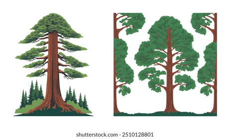 Illustration of a towering Redwood tree with massive trunk and lush green foliage, symbolizing nature's majesty and resilience