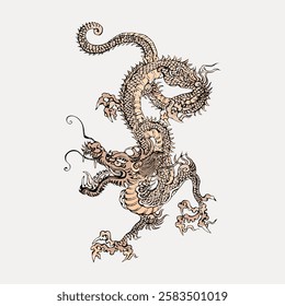 Illustration of a traditional Asian dragon. The dragon is intricately detailed, showcasing classic dragon features. Asian dragon art in a dynamic pose. Vintage Japanese illustration vector.