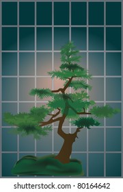 illustration with traditional bonsai tree