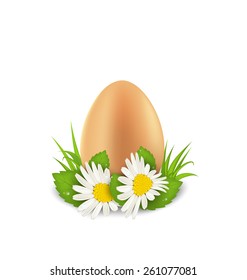 Illustration traditional Easter egg with flowers camomiles and grass, copy space for your text - vector