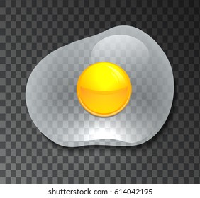 Illustration of a transparent fried eggs. Omelette. Vector element for your creativity