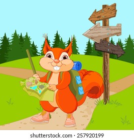 Illustration of traveler squirrel follows the signpost route