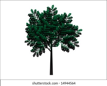 Illustration of tree