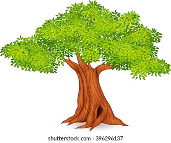 Illustration of tree