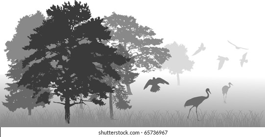 ilustración con siluetas de árboles y aves