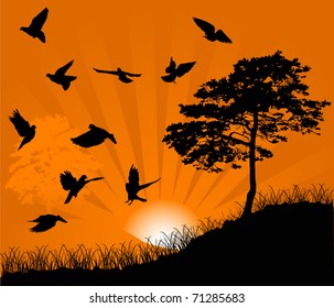 illustration with tree and birds at sunset