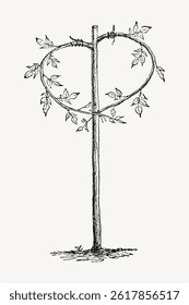 Illustration of a tree branch shaped into a heart. Heart-shaped branch with leaves. Simple line drawing of a heart-shaped tree branch with leaves. Vintage flower illustration vector.