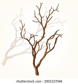 illustration of a tree branch without leaves on a white background