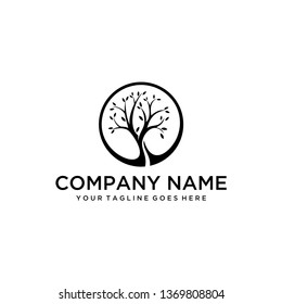 Illustration of a tree in a circle which means protecting it design graphic