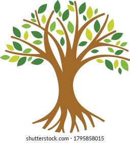 illustration of tree with colorful leaves
